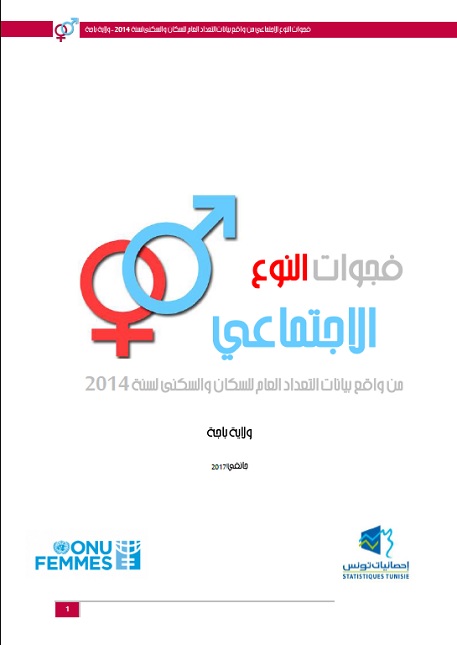 Rapport analyse genre tunisie
