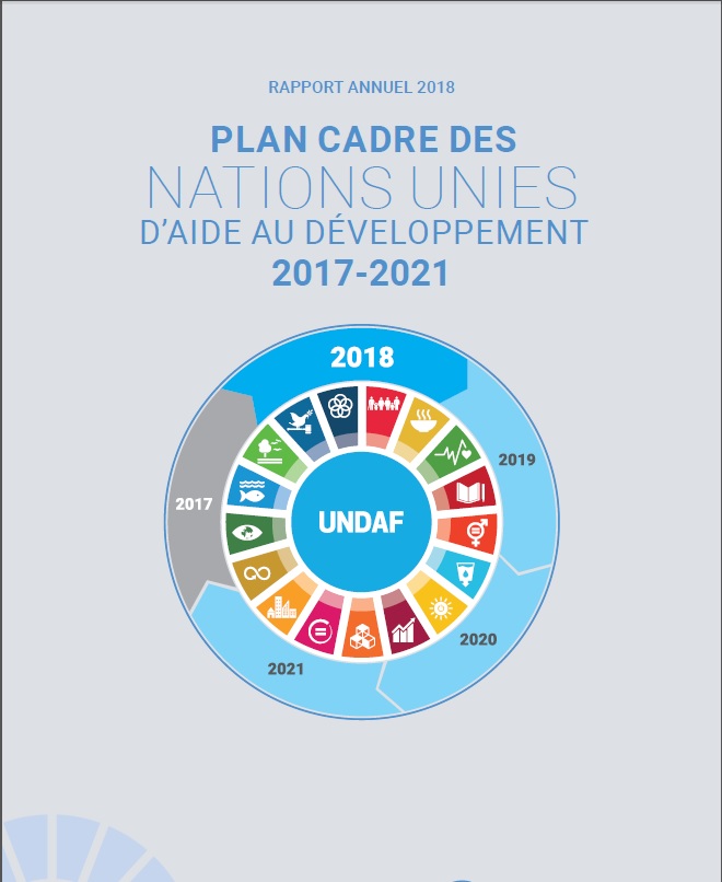 Rapport Annuel UNDAF