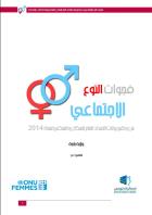 Rapport analyse genre tunisie